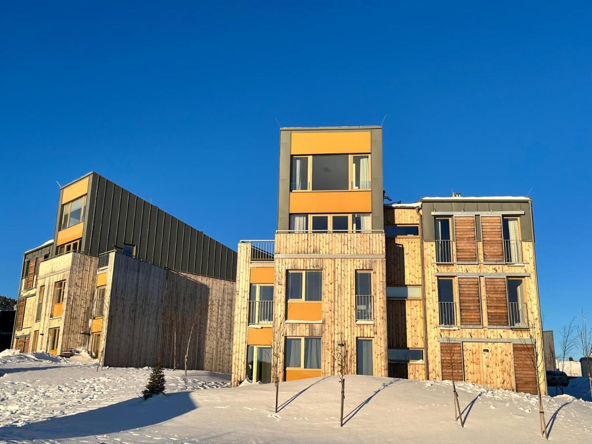 Meadows Apartments Klinovec Loučná pod Klínovcem Eksteriør bilde