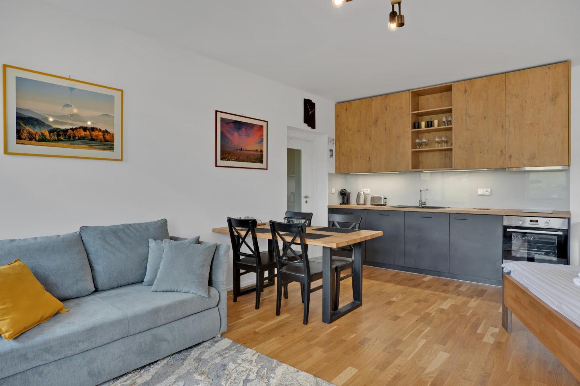 Meadows Apartments Klinovec Loučná pod Klínovcem Eksteriør bilde