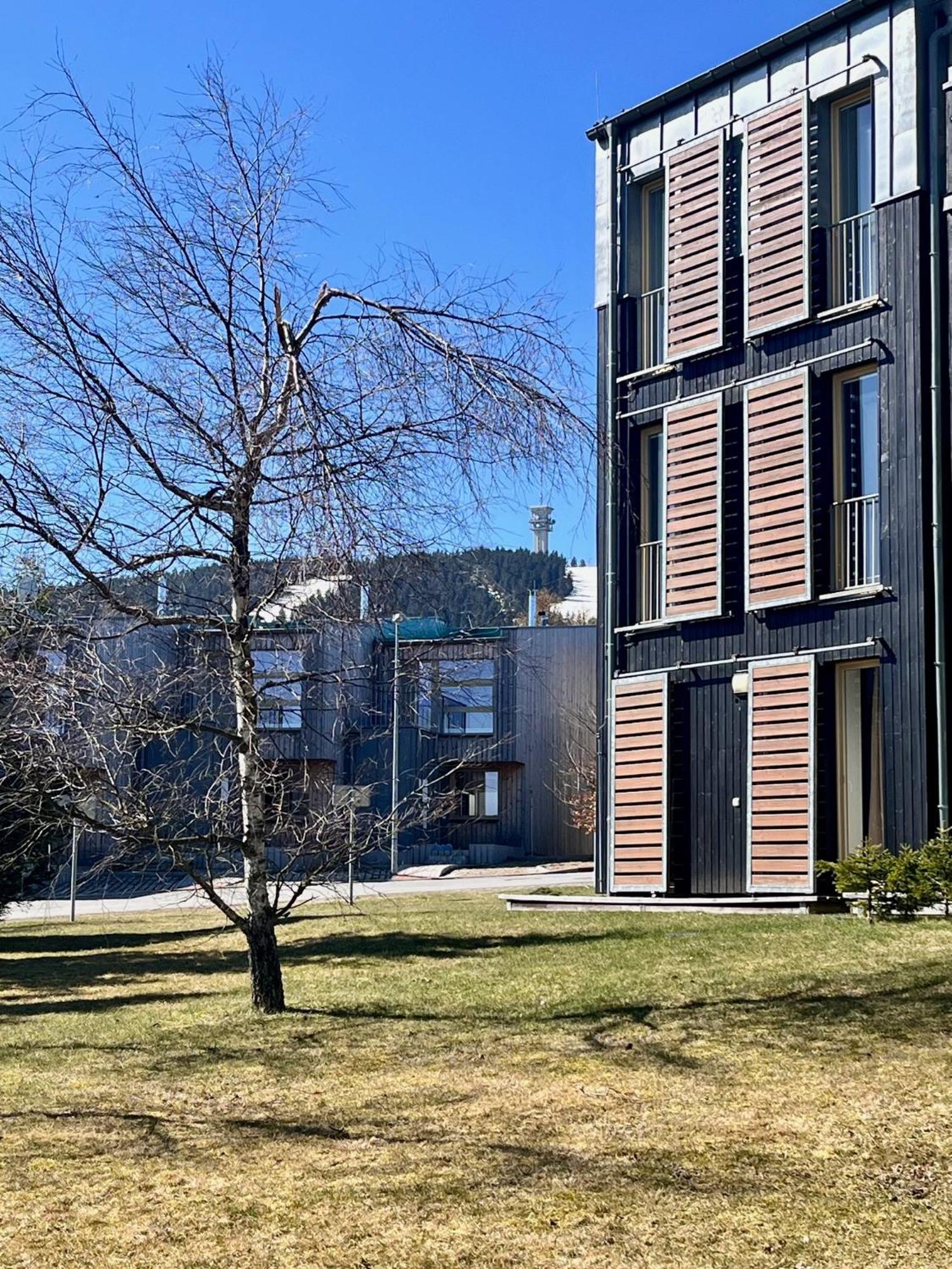 Meadows Apartments Klinovec Loučná pod Klínovcem Eksteriør bilde
